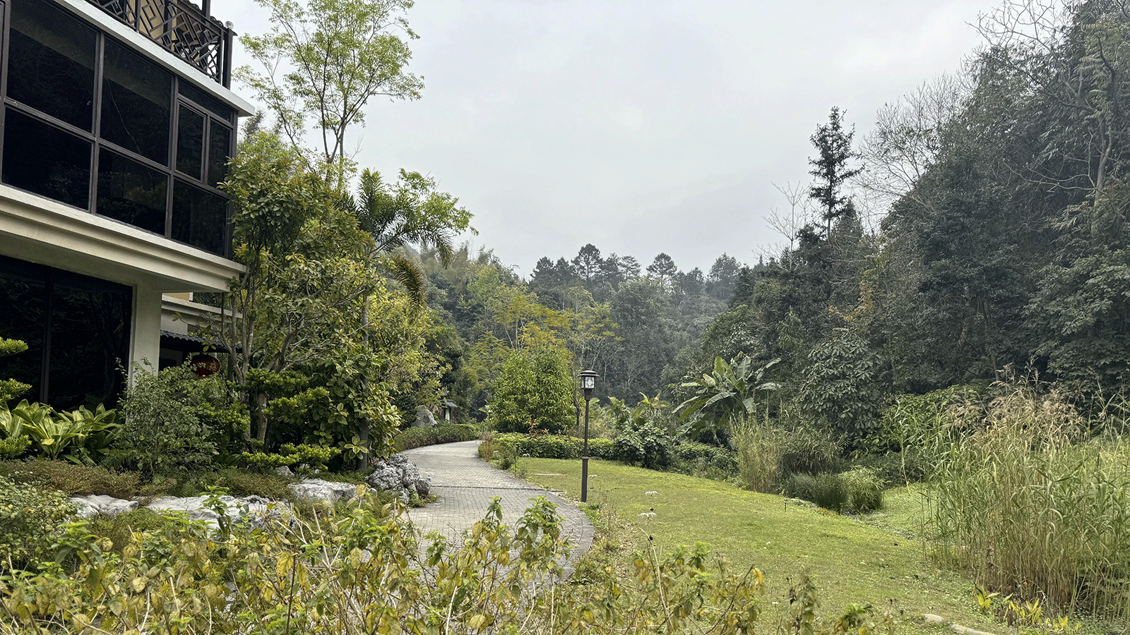 原始森林与山间谷地，水源地生态保护意象
