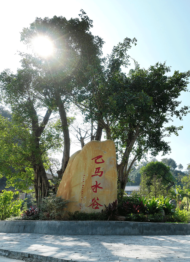 山间峡谷清泉在石间流淌
